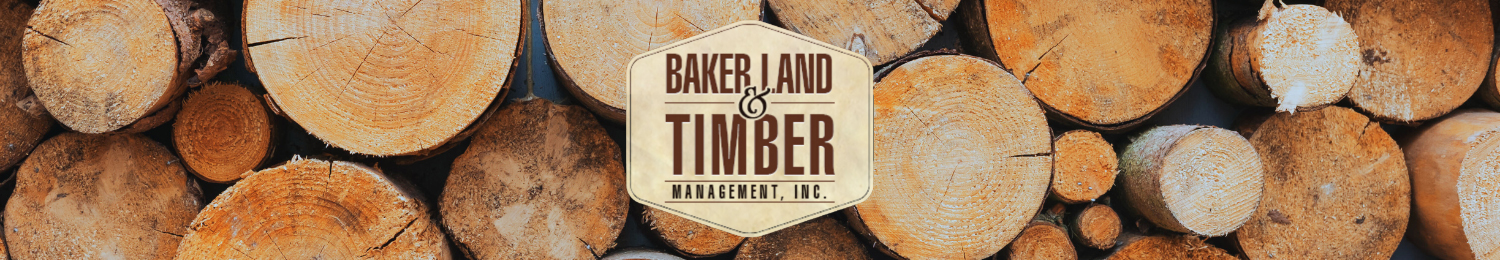 timber-img.jpg 